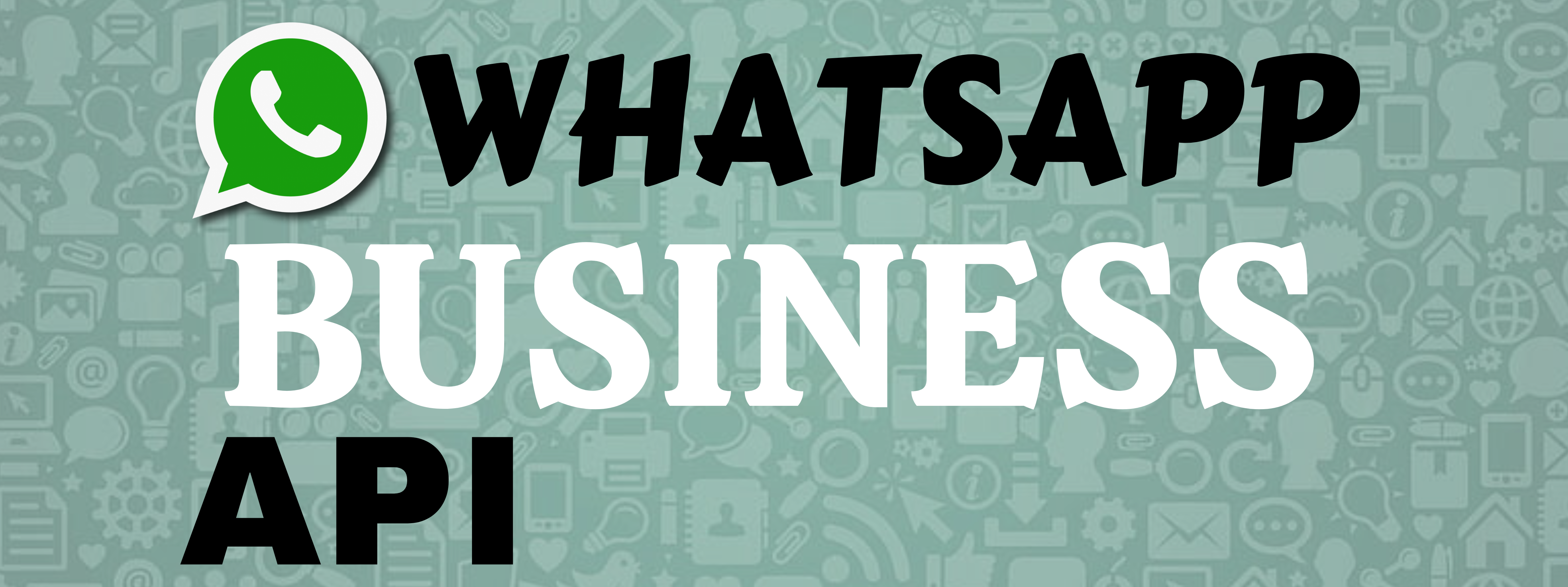 Whatsapp Business API