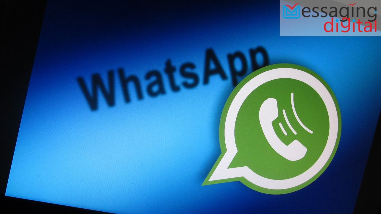 Whatsapp Business Api